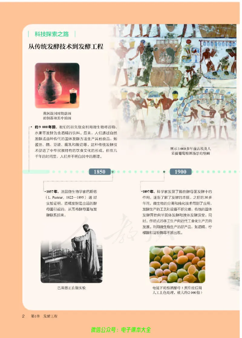 普通高中教科书生物学选择性必修3生物技术与工程_高中三年全科资料_高中_高中电子教材_高中生物学_人教版_旧