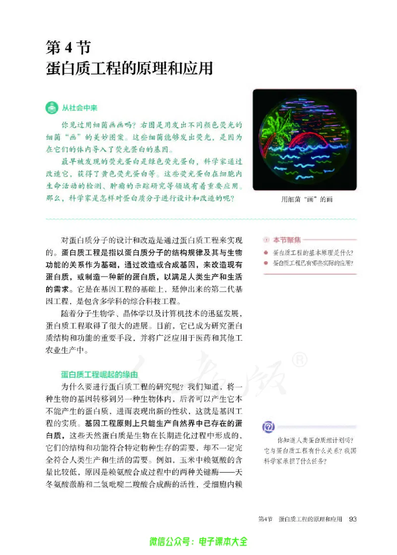 普通高中教科书生物学选择性必修3生物技术与工程_高中三年全科资料_高中_高中电子教材_高中生物学_人教版_旧