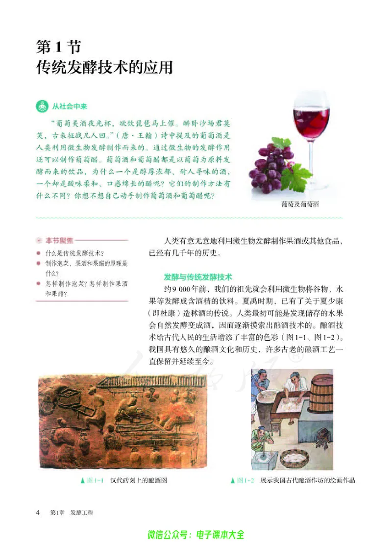 普通高中教科书生物学选择性必修3生物技术与工程_高中三年全科资料_高中_高中电子教材_高中生物学_人教版_旧