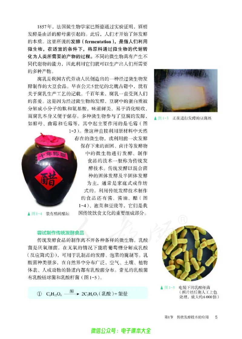 普通高中教科书生物学选择性必修3生物技术与工程_高中三年全科资料_高中_高中电子教材_高中生物学_人教版_旧
