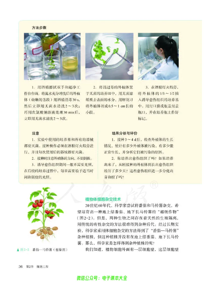 普通高中教科书生物学选择性必修3生物技术与工程_高中三年全科资料_高中_高中电子教材_高中生物学_人教版_旧