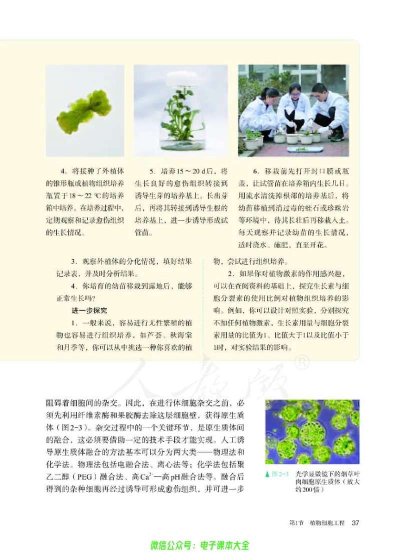 普通高中教科书生物学选择性必修3生物技术与工程_高中三年全科资料_高中_高中电子教材_高中生物学_人教版_旧