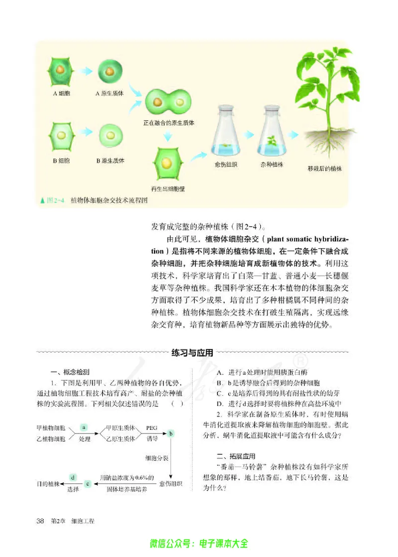 普通高中教科书生物学选择性必修3生物技术与工程_高中三年全科资料_高中_高中电子教材_高中生物学_人教版_旧