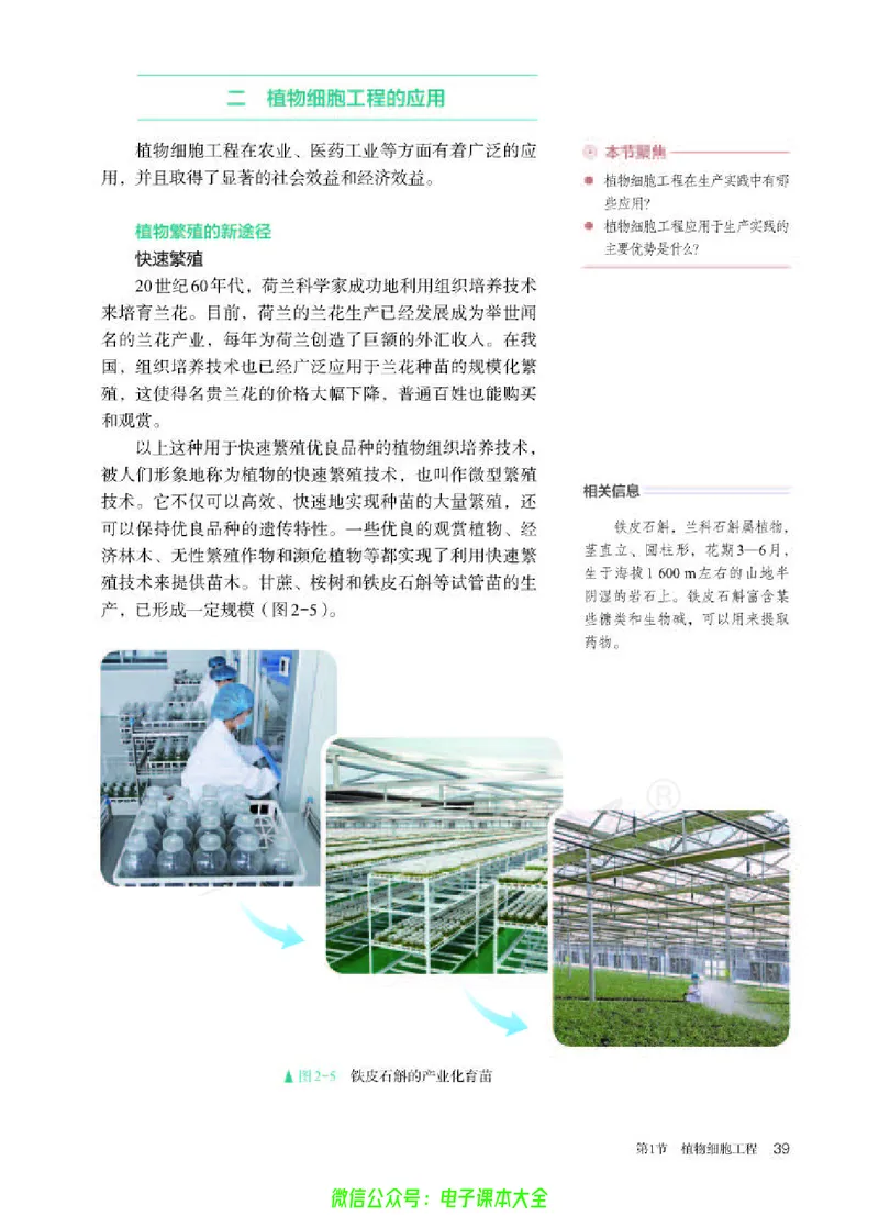 普通高中教科书生物学选择性必修3生物技术与工程_高中三年全科资料_高中_高中电子教材_高中生物学_人教版_旧