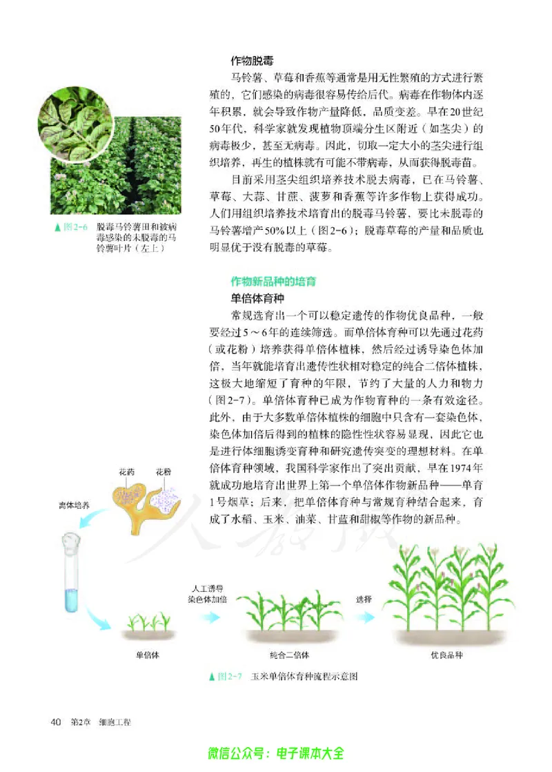 普通高中教科书生物学选择性必修3生物技术与工程_高中三年全科资料_高中_高中电子教材_高中生物学_人教版_旧