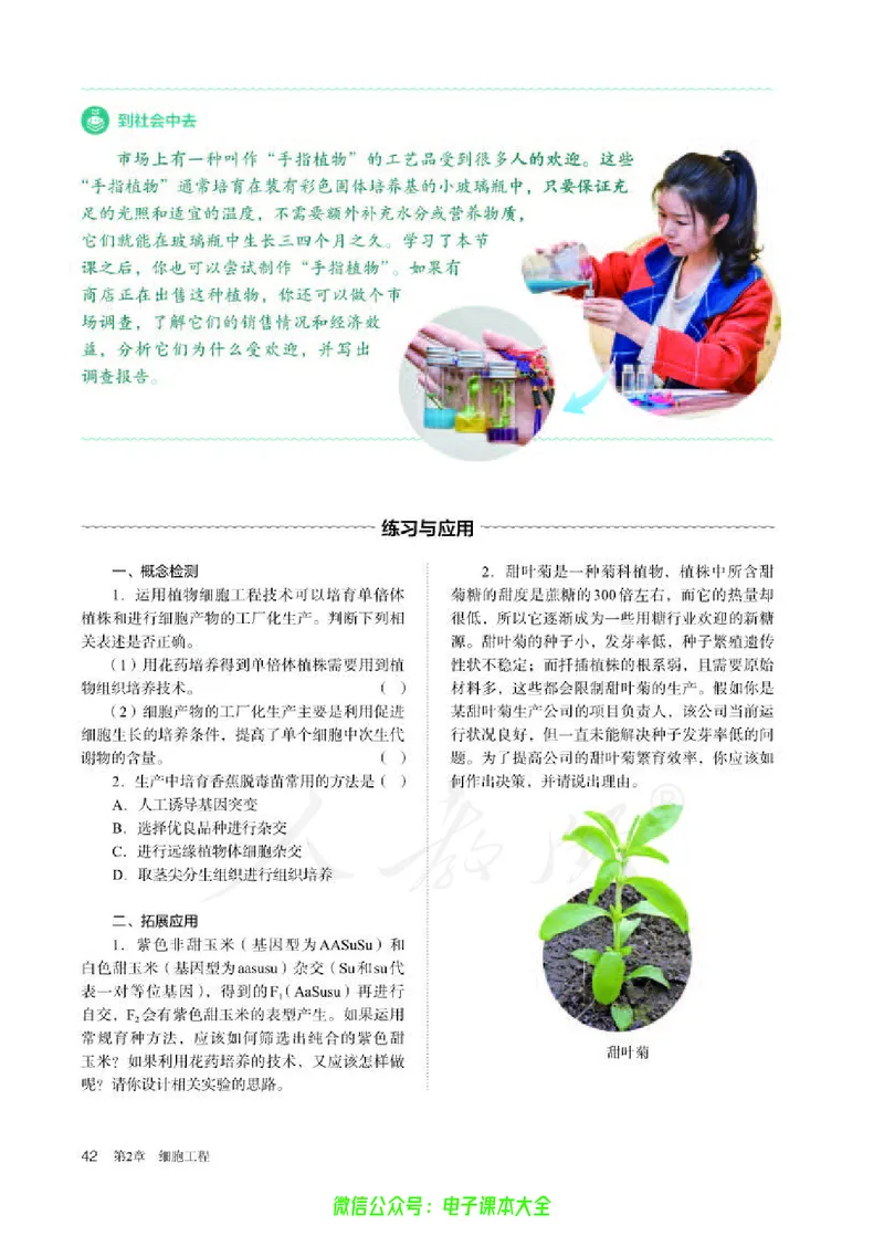 普通高中教科书生物学选择性必修3生物技术与工程_高中三年全科资料_高中_高中电子教材_高中生物学_人教版_旧