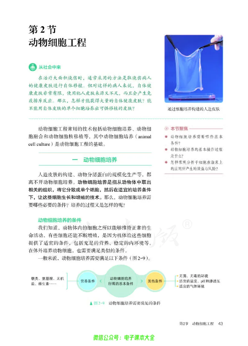 普通高中教科书生物学选择性必修3生物技术与工程_高中三年全科资料_高中_高中电子教材_高中生物学_人教版_旧