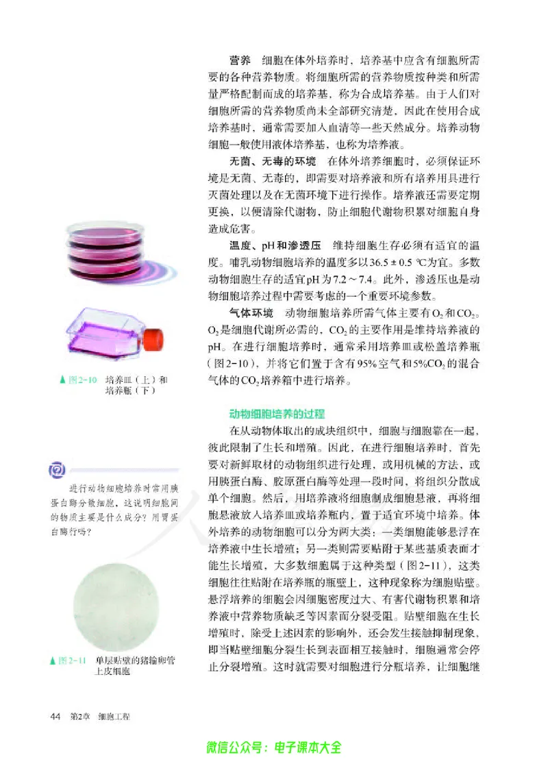 普通高中教科书生物学选择性必修3生物技术与工程_高中三年全科资料_高中_高中电子教材_高中生物学_人教版_旧