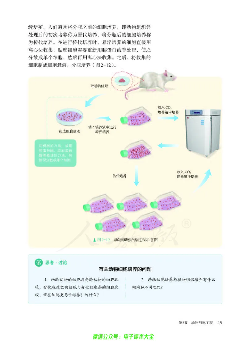 普通高中教科书生物学选择性必修3生物技术与工程_高中三年全科资料_高中_高中电子教材_高中生物学_人教版_旧