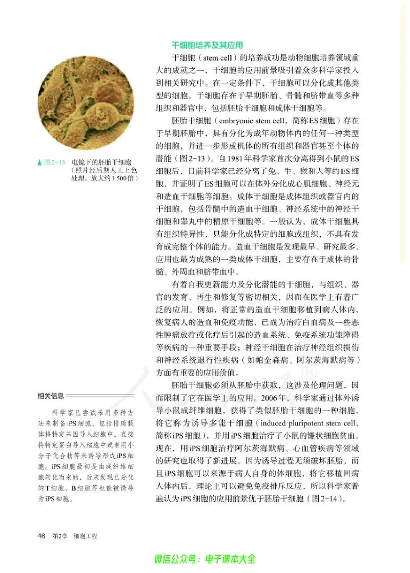 普通高中教科书生物学选择性必修3生物技术与工程_高中三年全科资料_高中_高中电子教材_高中生物学_人教版_旧
