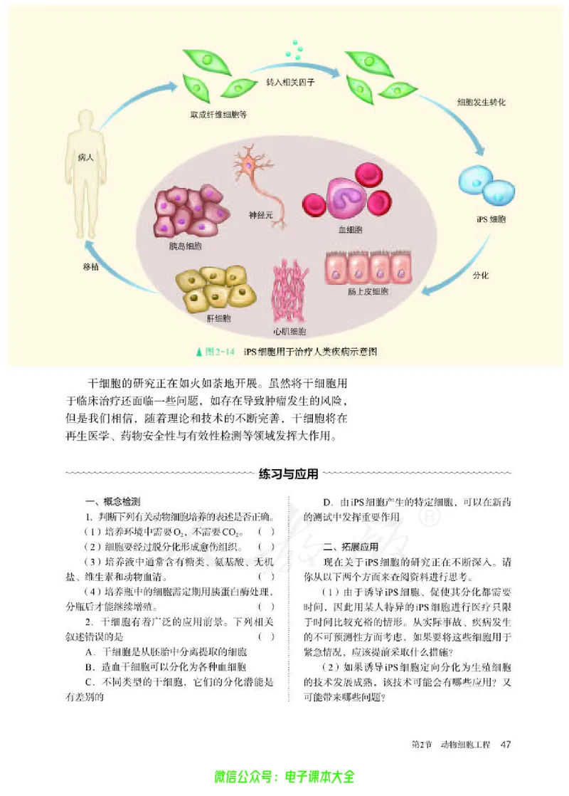 普通高中教科书生物学选择性必修3生物技术与工程_高中三年全科资料_高中_高中电子教材_高中生物学_人教版_旧