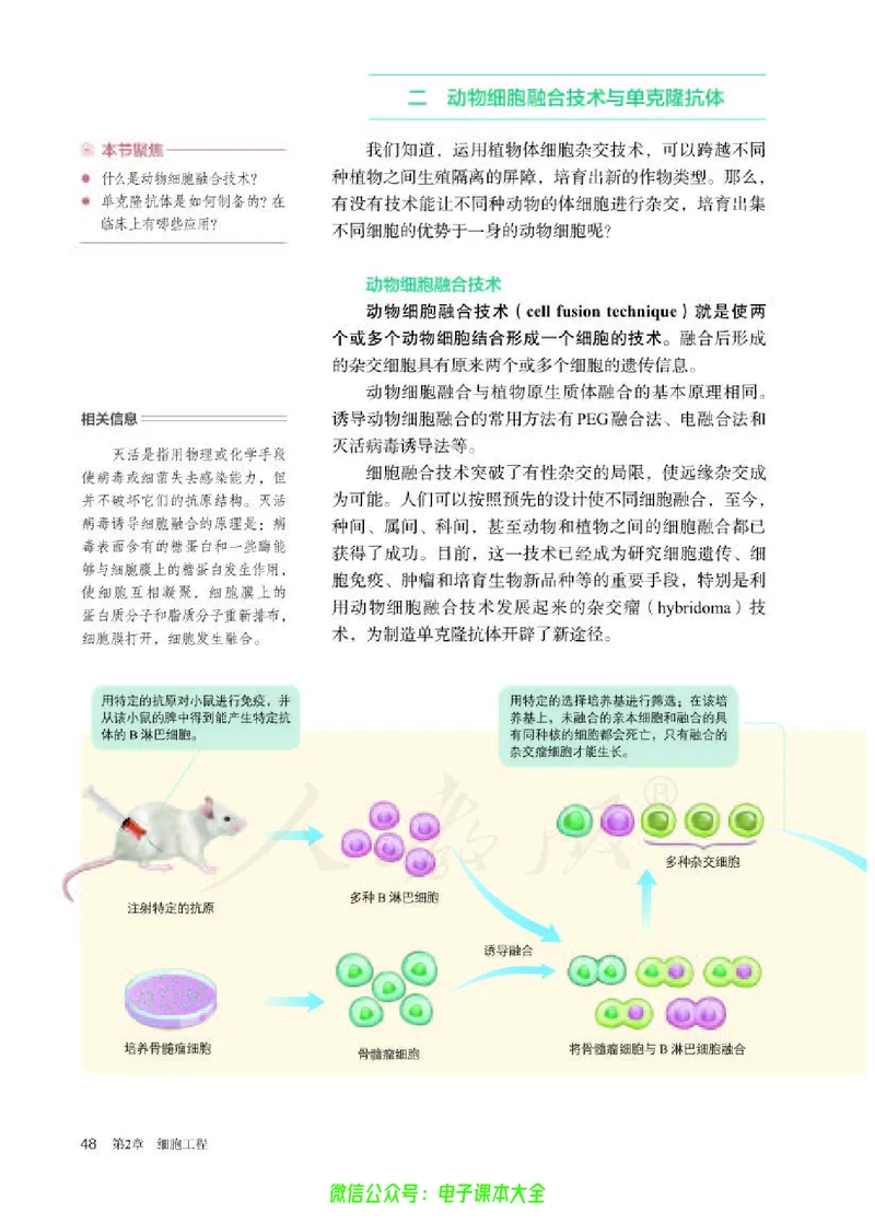 普通高中教科书生物学选择性必修3生物技术与工程_高中三年全科资料_高中_高中电子教材_高中生物学_人教版_旧