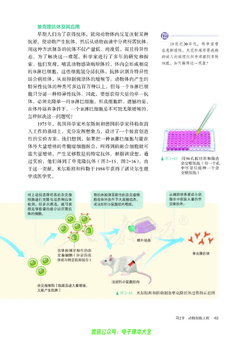 普通高中教科书生物学选择性必修3生物技术与工程_高中三年全科资料_高中_高中电子教材_高中生物学_人教版_旧