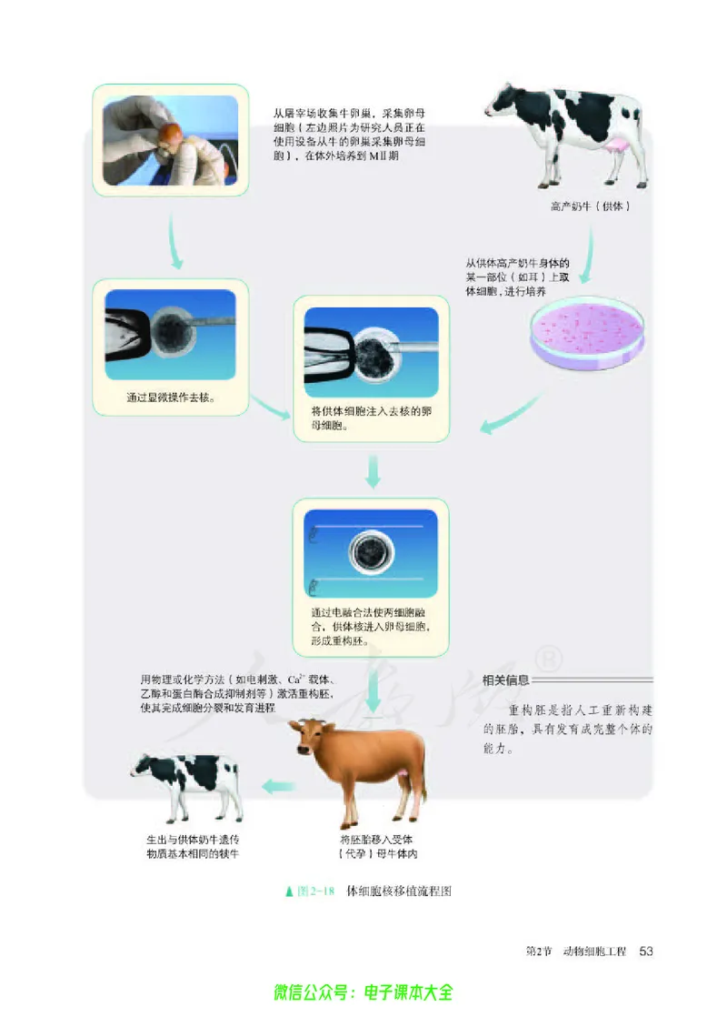 普通高中教科书生物学选择性必修3生物技术与工程_高中三年全科资料_高中_高中电子教材_高中生物学_人教版_旧