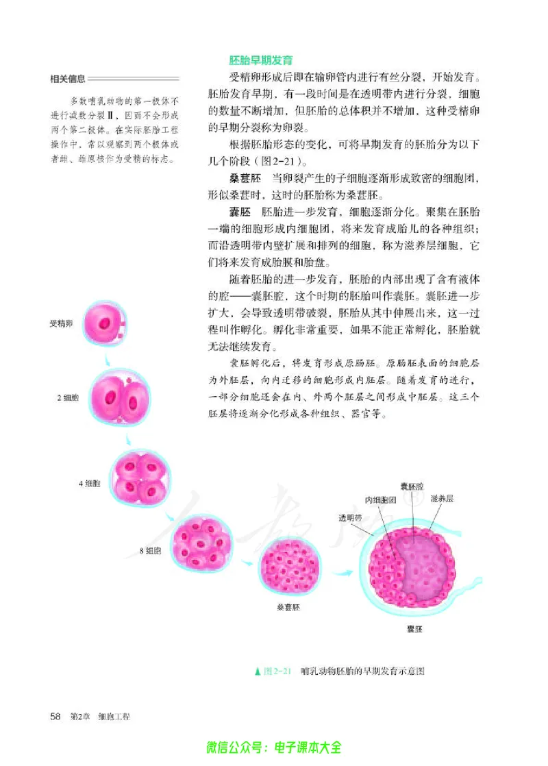 普通高中教科书生物学选择性必修3生物技术与工程_高中三年全科资料_高中_高中电子教材_高中生物学_人教版_旧