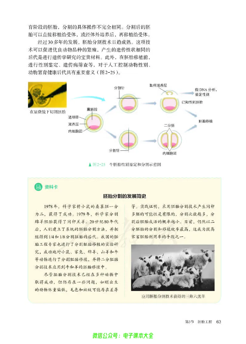 普通高中教科书生物学选择性必修3生物技术与工程_高中三年全科资料_高中_高中电子教材_高中生物学_人教版_旧