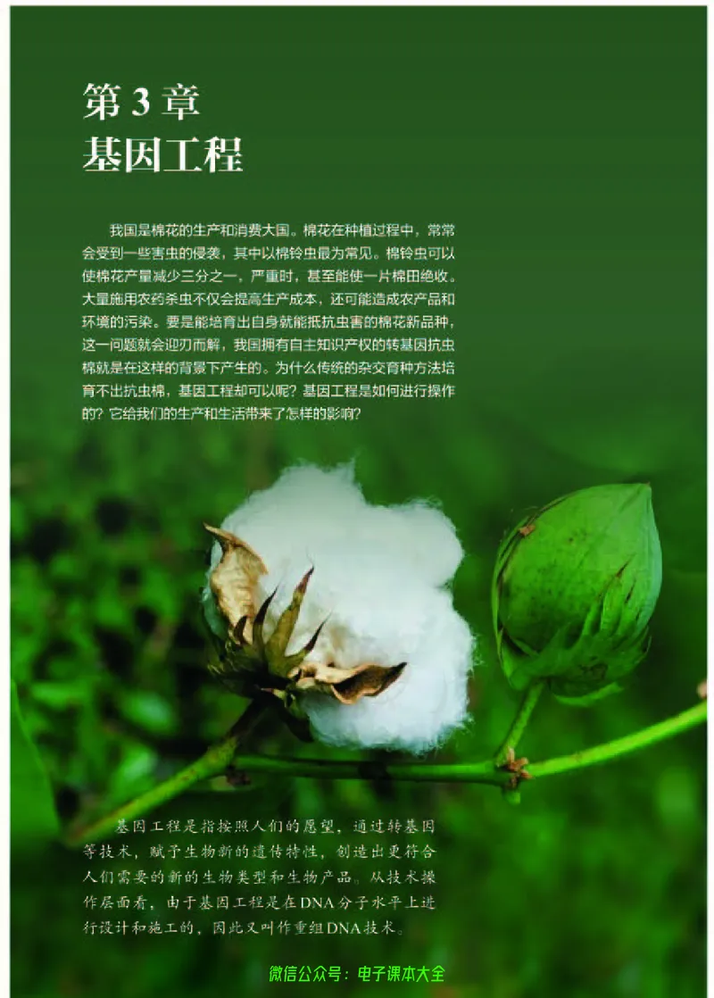 普通高中教科书生物学选择性必修3生物技术与工程_高中三年全科资料_高中_高中电子教材_高中生物学_人教版_旧