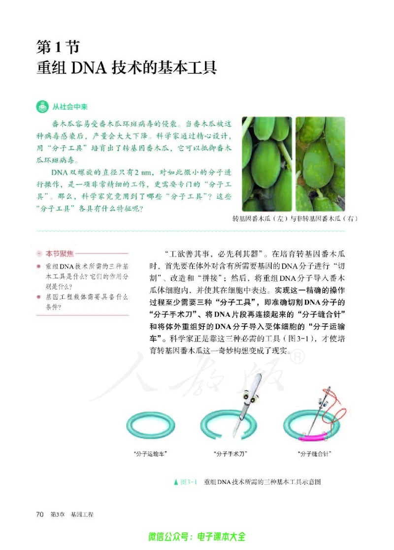 普通高中教科书生物学选择性必修3生物技术与工程_高中三年全科资料_高中_高中电子教材_高中生物学_人教版_旧