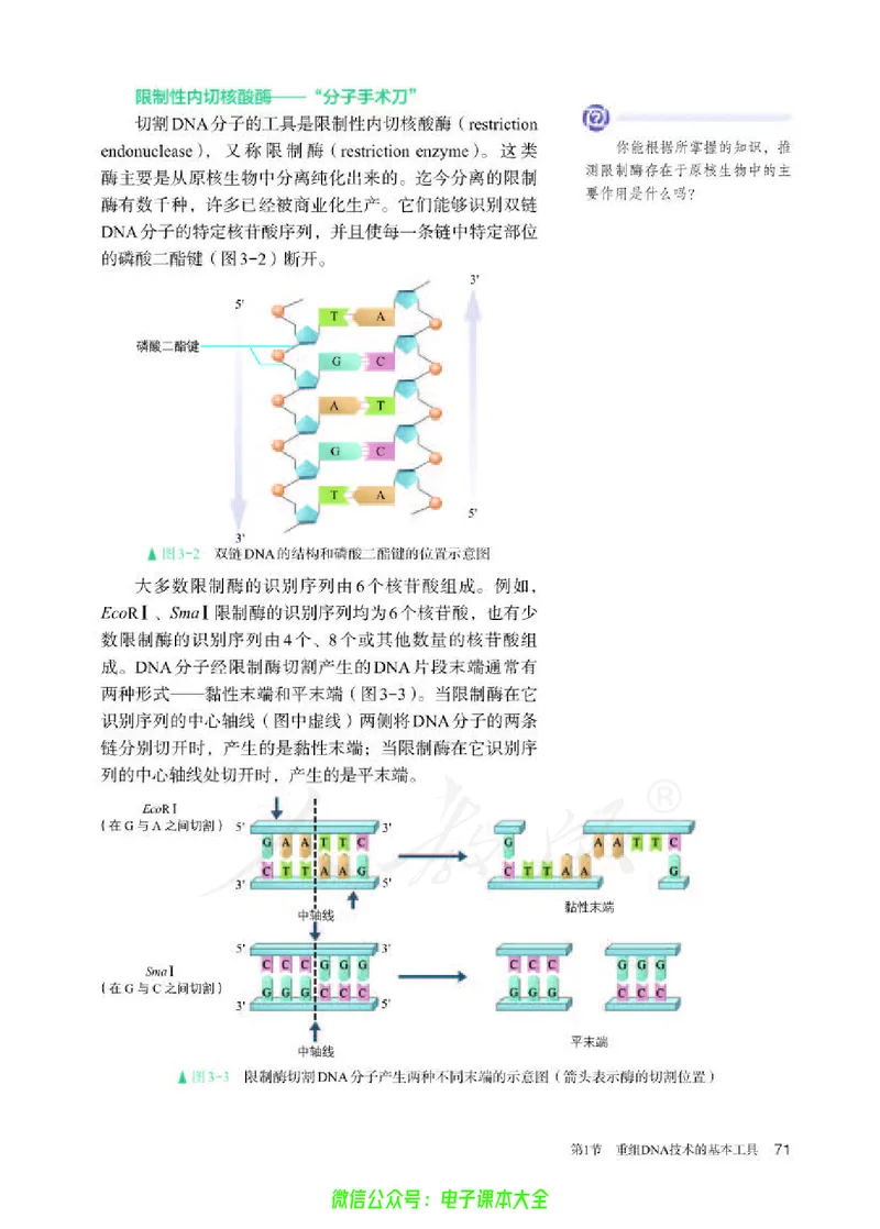 普通高中教科书生物学选择性必修3生物技术与工程_高中三年全科资料_高中_高中电子教材_高中生物学_人教版_旧