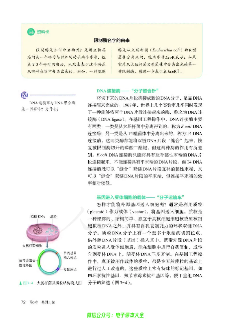 普通高中教科书生物学选择性必修3生物技术与工程_高中三年全科资料_高中_高中电子教材_高中生物学_人教版_旧