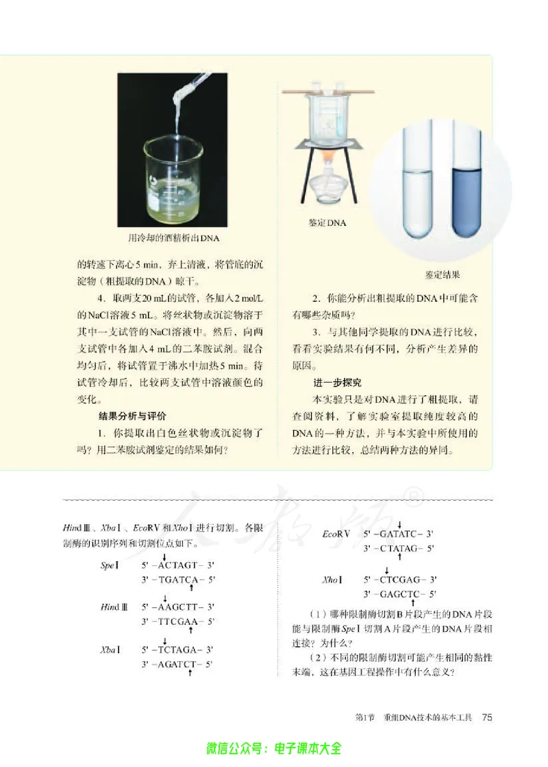 普通高中教科书生物学选择性必修3生物技术与工程_高中三年全科资料_高中_高中电子教材_高中生物学_人教版_旧