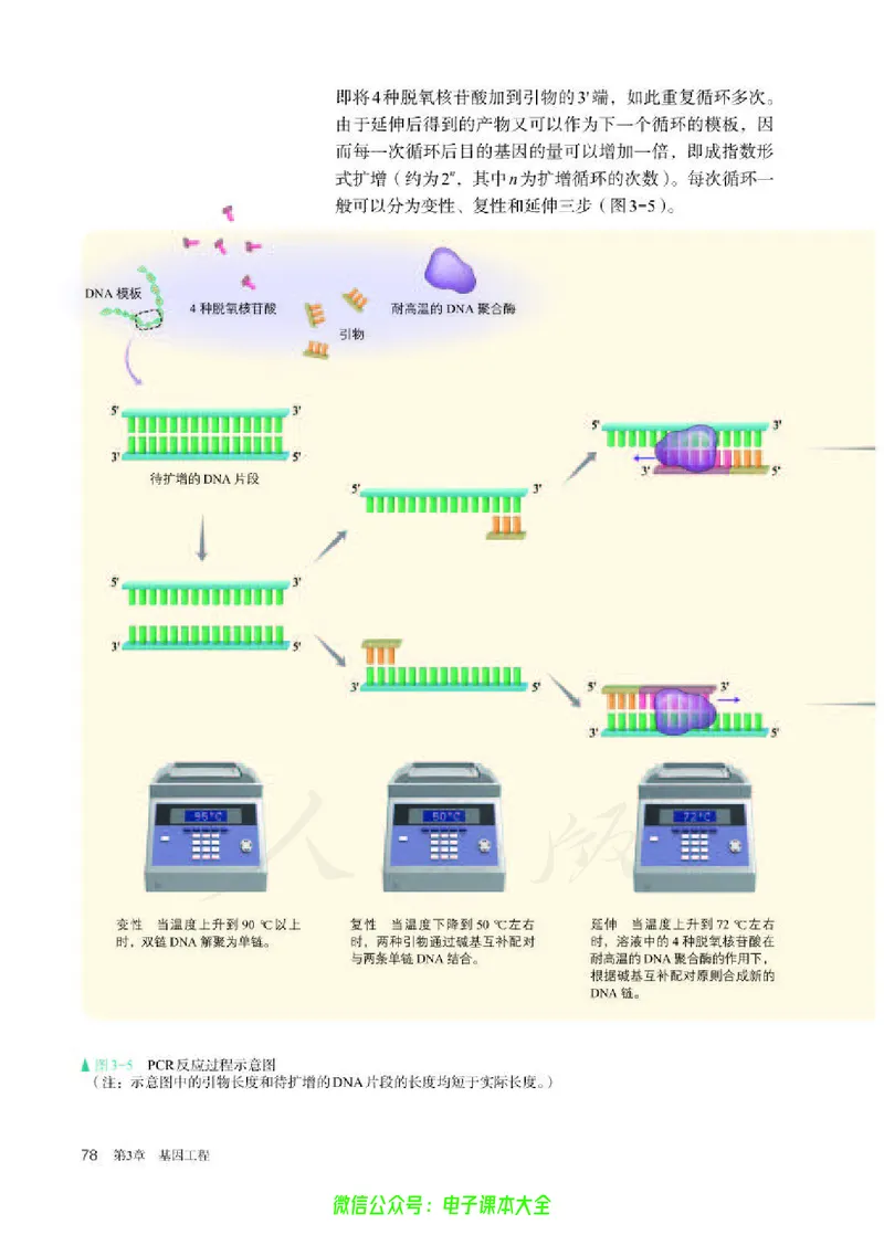 普通高中教科书生物学选择性必修3生物技术与工程_高中三年全科资料_高中_高中电子教材_高中生物学_人教版_旧
