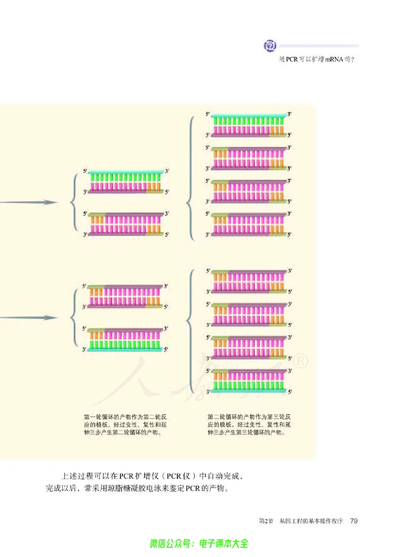 普通高中教科书生物学选择性必修3生物技术与工程_高中三年全科资料_高中_高中电子教材_高中生物学_人教版_旧