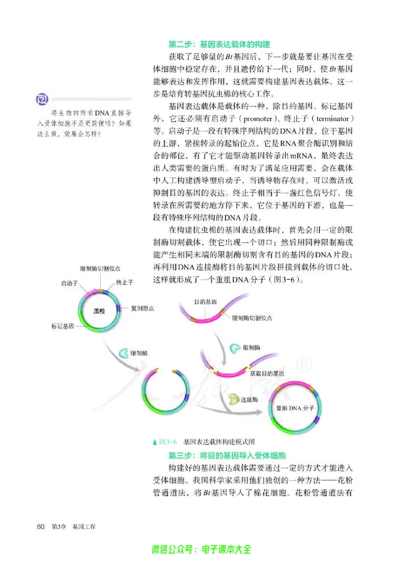 普通高中教科书生物学选择性必修3生物技术与工程_高中三年全科资料_高中_高中电子教材_高中生物学_人教版_旧