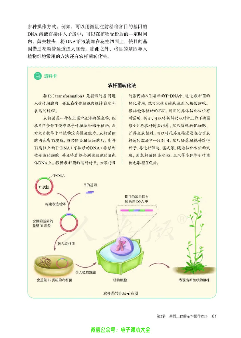 普通高中教科书生物学选择性必修3生物技术与工程_高中三年全科资料_高中_高中电子教材_高中生物学_人教版_旧