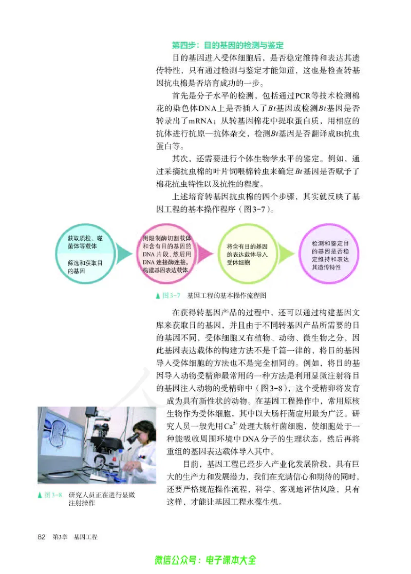 普通高中教科书生物学选择性必修3生物技术与工程_高中三年全科资料_高中_高中电子教材_高中生物学_人教版_旧