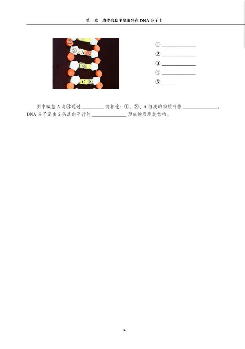 生物学必修2（电子版）_高中三年全科资料_高中_高中电子教材_高中生物学_沪科教版