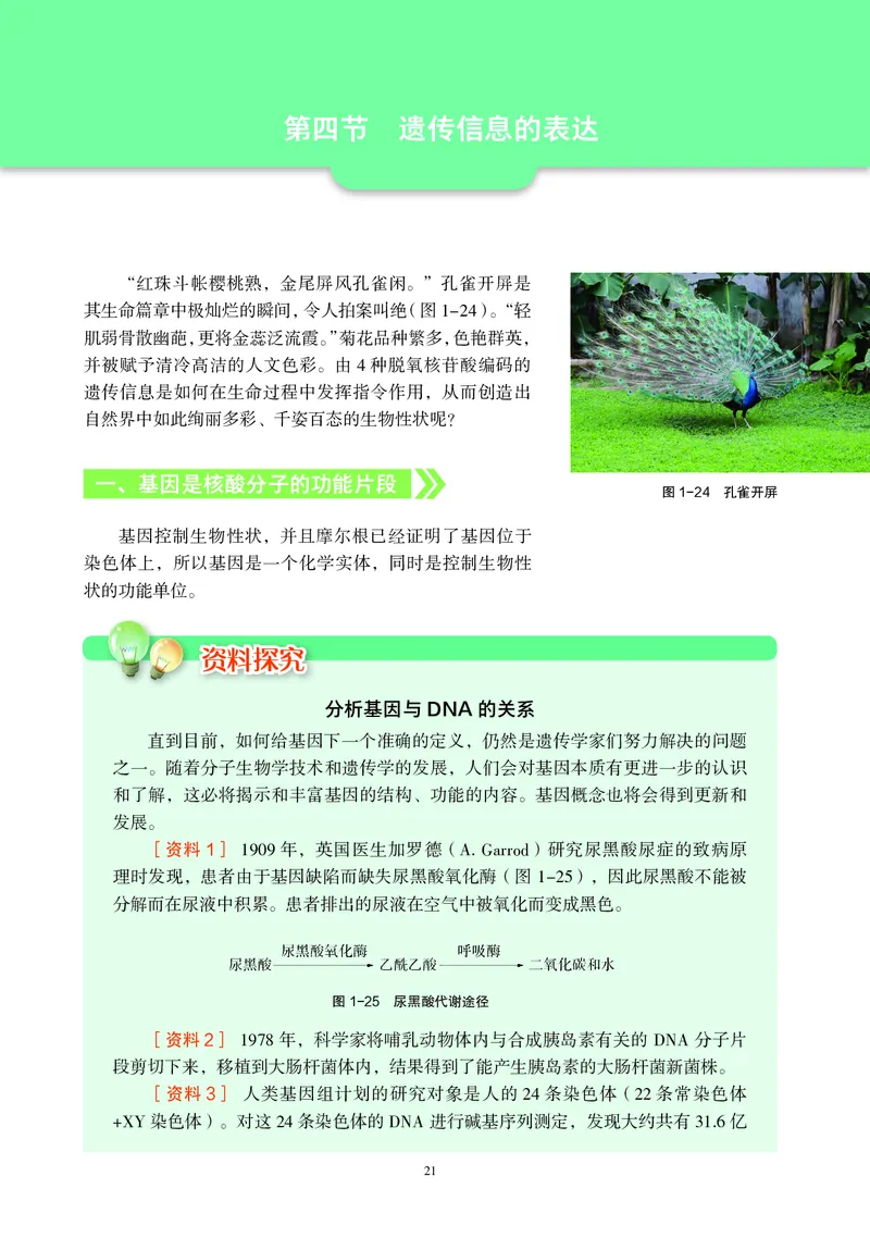 生物学必修2（电子版）_高中三年全科资料_高中_高中电子教材_高中生物学_沪科教版