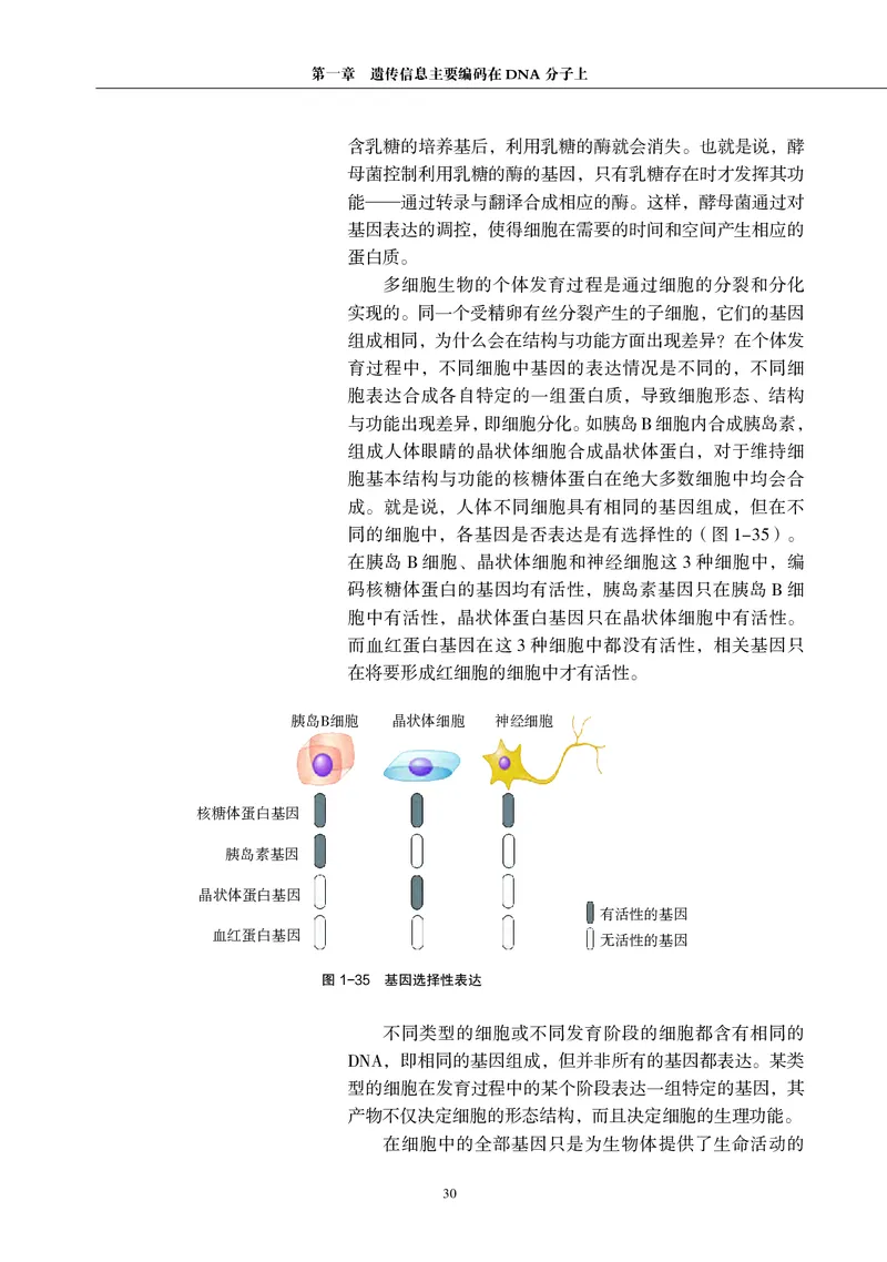 生物学必修2（电子版）_高中三年全科资料_高中_高中电子教材_高中生物学_沪科教版