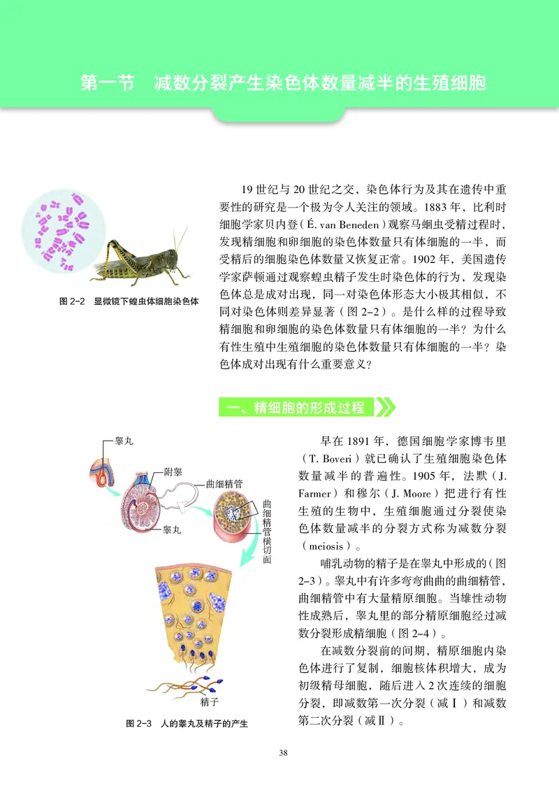 生物学必修2（电子版）_高中三年全科资料_高中_高中电子教材_高中生物学_沪科教版