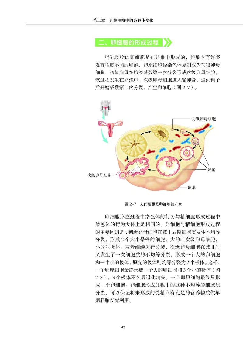 生物学必修2（电子版）_高中三年全科资料_高中_高中电子教材_高中生物学_沪科教版