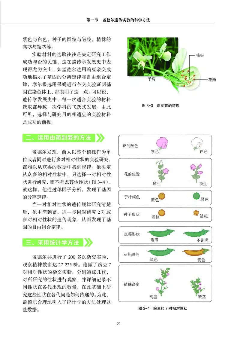 生物学必修2（电子版）_高中三年全科资料_高中_高中电子教材_高中生物学_沪科教版