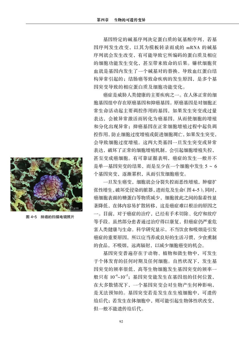 生物学必修2（电子版）_高中三年全科资料_高中_高中电子教材_高中生物学_沪科教版