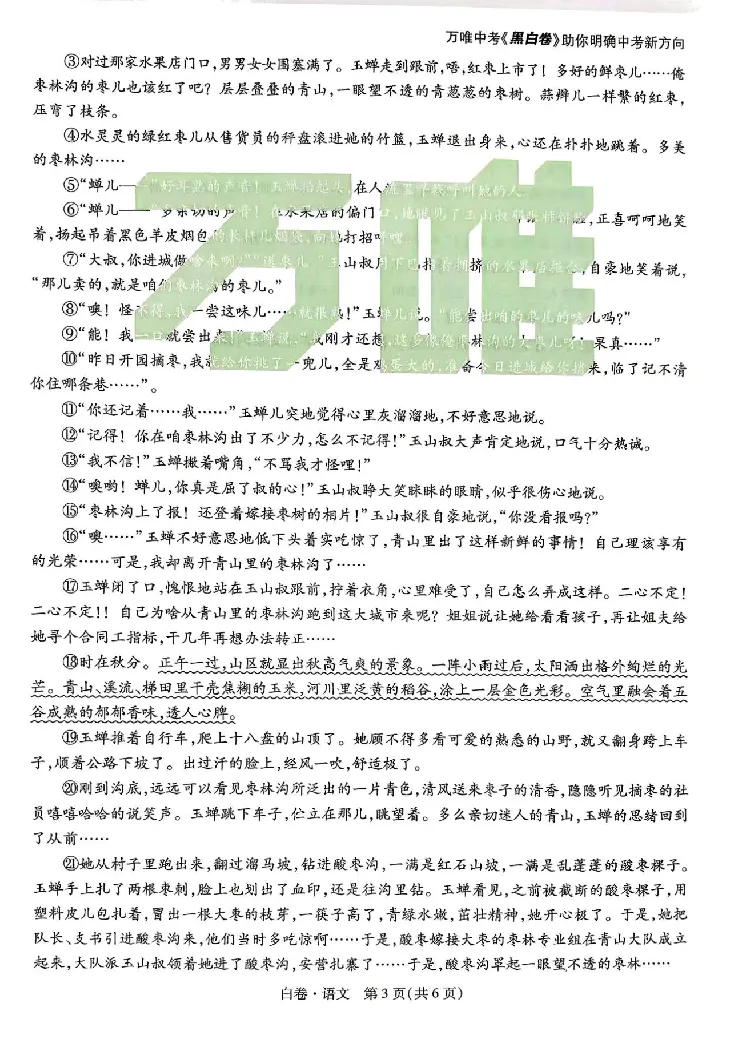 2026《万唯中考&bull;河南黑白卷》语文白卷_2026中考押题卷合集_2026《万唯中考黑白卷》地方版(1)_2026《万唯中考&bull;河南黑白卷》7科_2026《万唯中考&bull;河南黑白卷》语文