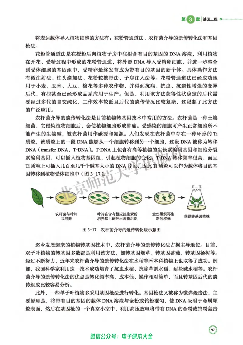 生物学选择性必修3生物技术与工程_高中三年全科资料_高中_高中电子教材_高中生物学_北师大