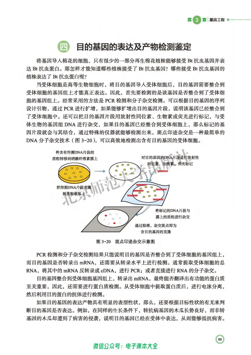 生物学选择性必修3生物技术与工程_高中三年全科资料_高中_高中电子教材_高中生物学_北师大
