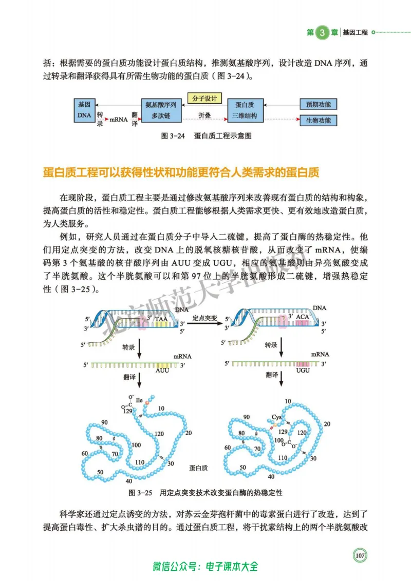 生物学选择性必修3生物技术与工程_高中三年全科资料_高中_高中电子教材_高中生物学_北师大
