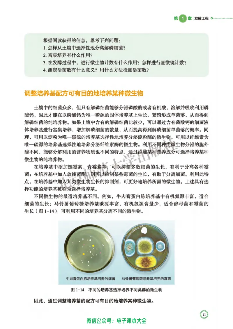 生物学选择性必修3生物技术与工程_高中三年全科资料_高中_高中电子教材_高中生物学_北师大