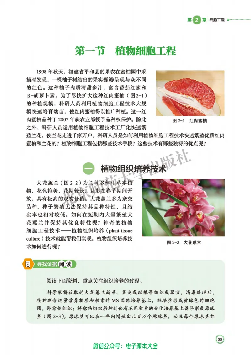 生物学选择性必修3生物技术与工程_高中三年全科资料_高中_高中电子教材_高中生物学_北师大