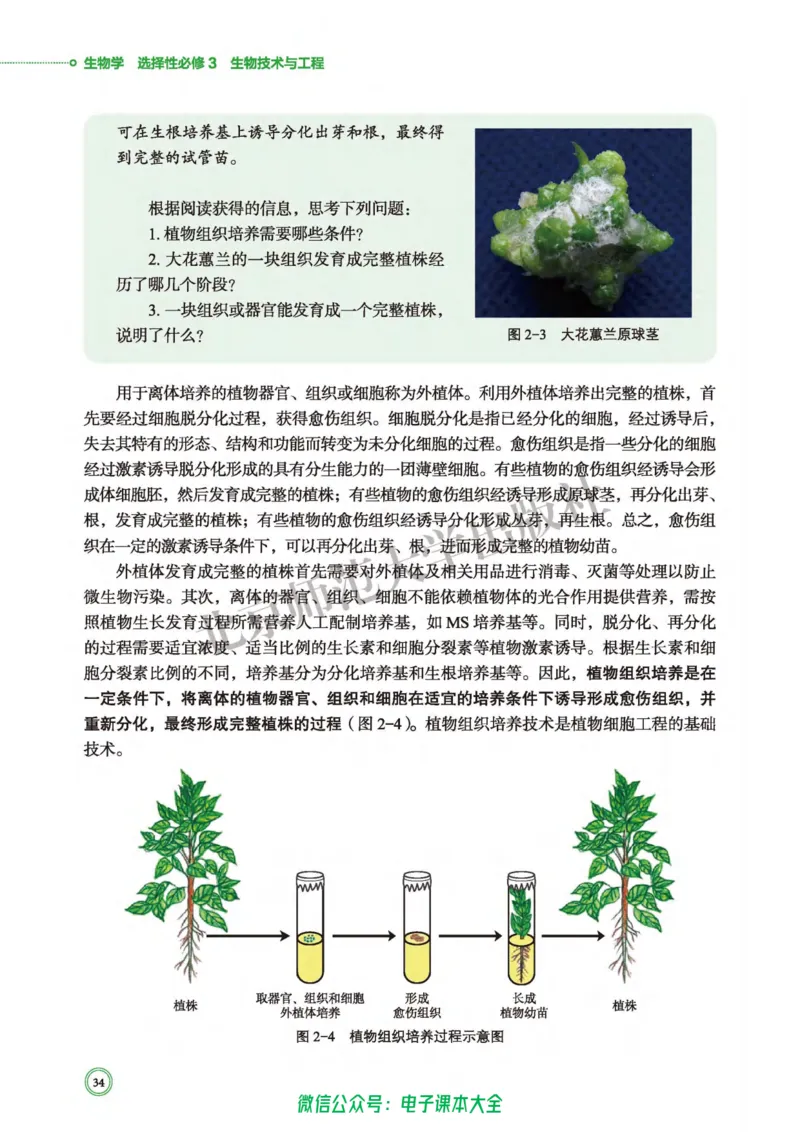 生物学选择性必修3生物技术与工程_高中三年全科资料_高中_高中电子教材_高中生物学_北师大