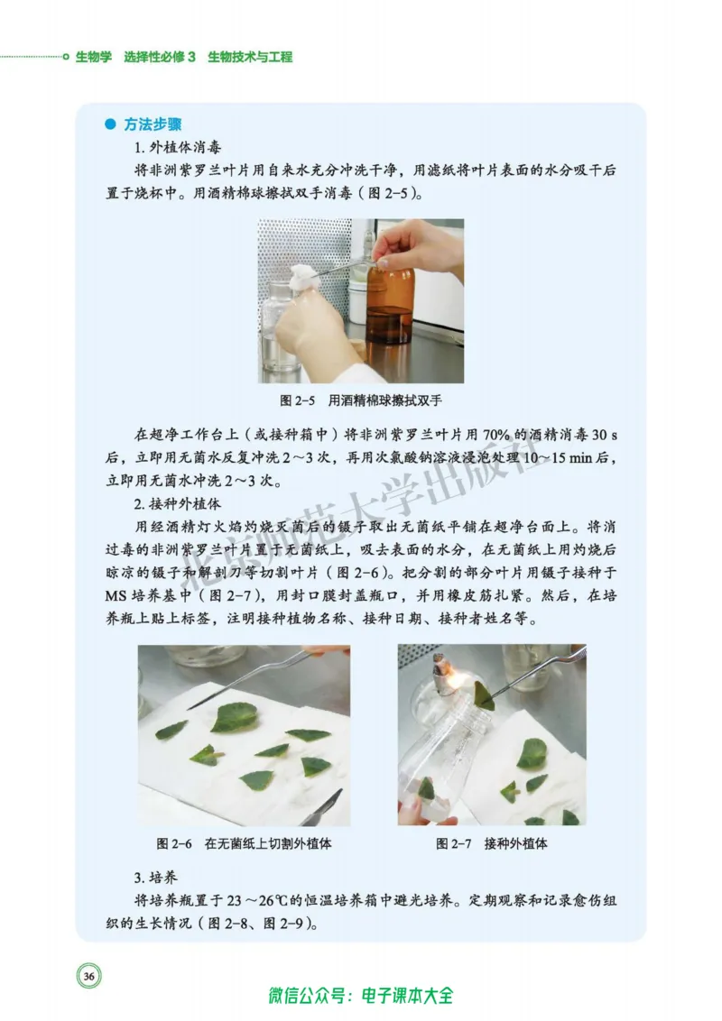 生物学选择性必修3生物技术与工程_高中三年全科资料_高中_高中电子教材_高中生物学_北师大