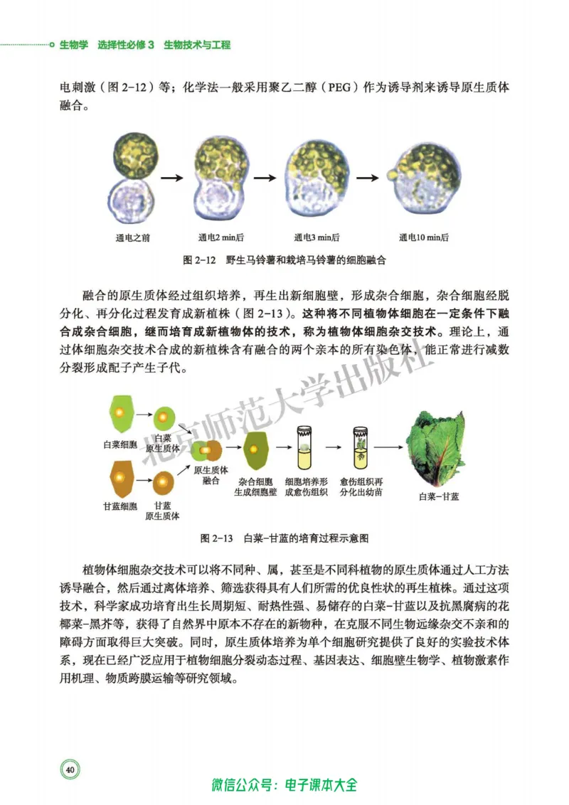 生物学选择性必修3生物技术与工程_高中三年全科资料_高中_高中电子教材_高中生物学_北师大