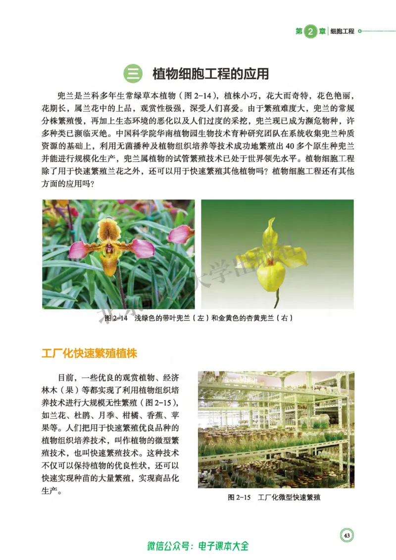 生物学选择性必修3生物技术与工程_高中三年全科资料_高中_高中电子教材_高中生物学_北师大