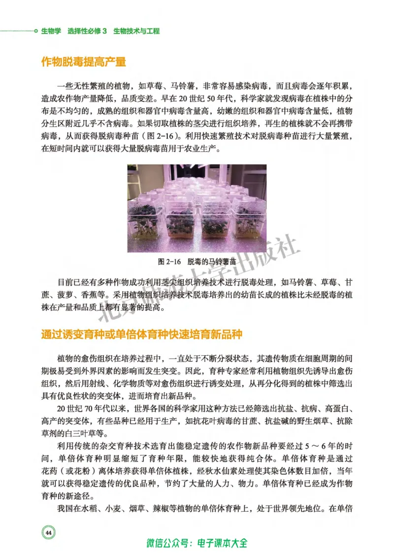生物学选择性必修3生物技术与工程_高中三年全科资料_高中_高中电子教材_高中生物学_北师大