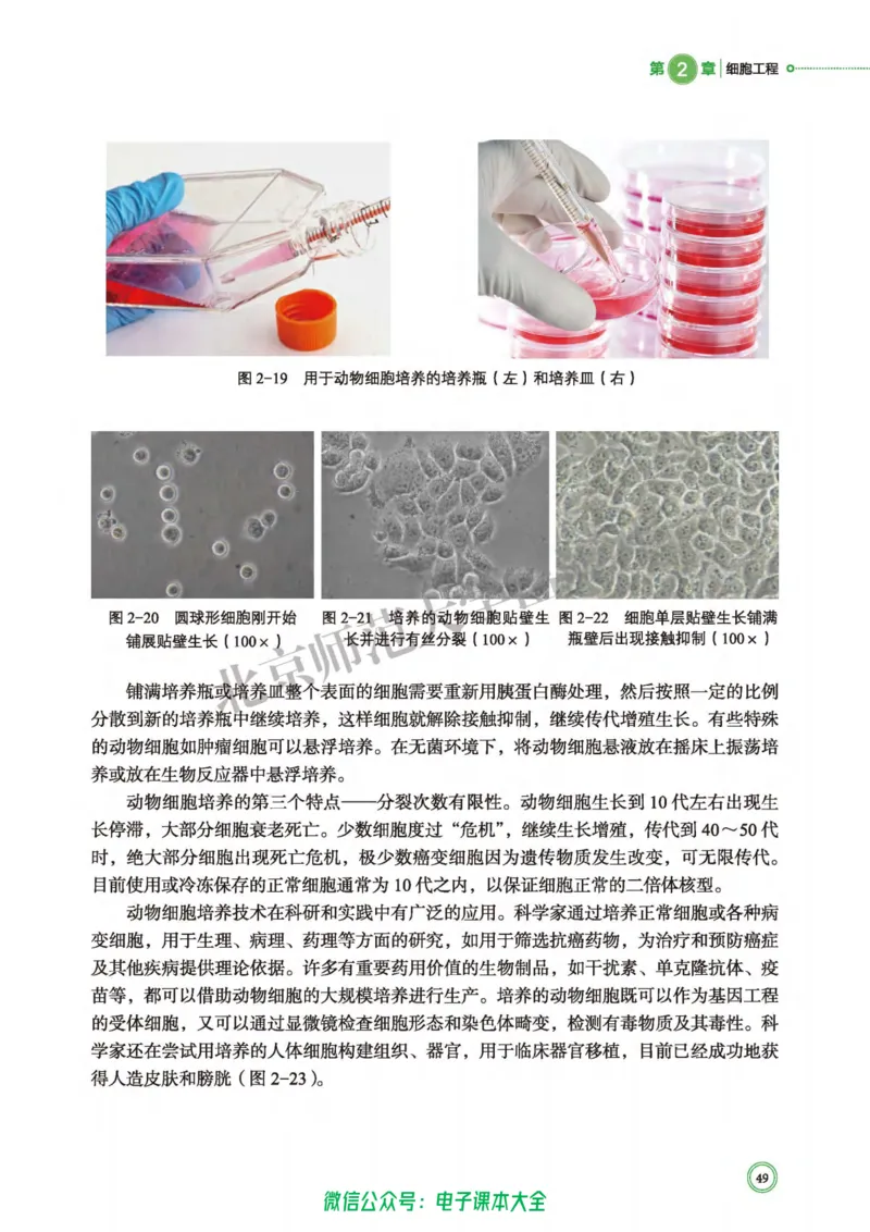 生物学选择性必修3生物技术与工程_高中三年全科资料_高中_高中电子教材_高中生物学_北师大