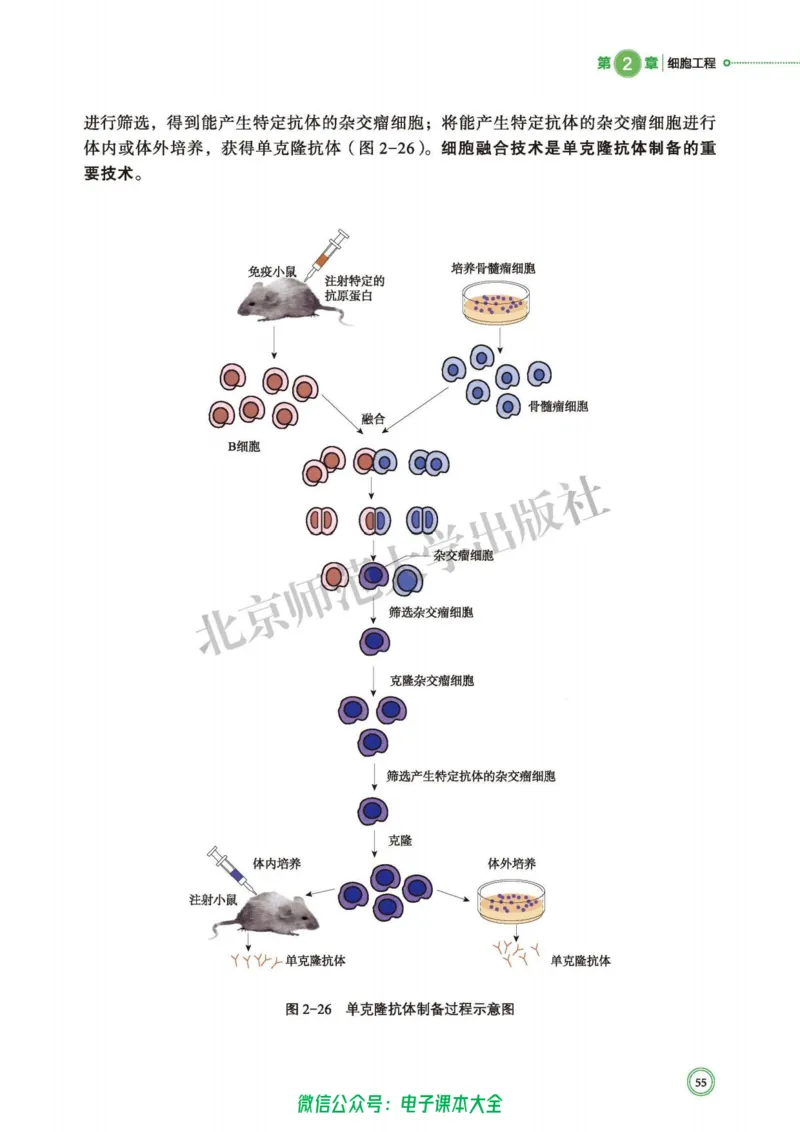 生物学选择性必修3生物技术与工程_高中三年全科资料_高中_高中电子教材_高中生物学_北师大